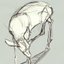 Dynamic Animal Sketching